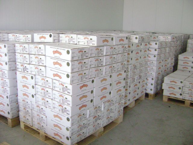 Pallets ameixas '''Dulzor'